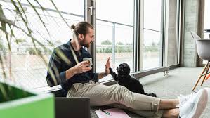 Key features of the bremer bank visa signature business company card according to the bremer bank website, the card is designed for medium to large businesses. How To Get A Business Credit Card With Just Your Ein Bankrate