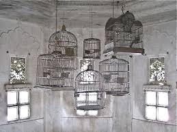 How Wonderful The Perfect Dreaming Place Empty Room Empty Cages Windows All Around And Lovely White Washed Antique Bird Cages Bird Cage Decor Bird Cages