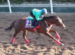 6:09 reydeoro 271 825 просмотров. é«˜æ¾å®®è¨˜å¿µè¿½ã„åˆ‡ã‚Š ãƒ¢ã‚ºã‚¹ãƒ¼ãƒ'ãƒ¼ãƒ•ãƒ¬ã‚¢è¶…é€Ÿ å‚è·¯4f48ç§'9 ã‚¹ãƒãƒ‹ãƒ Sponichi Annex ã‚®ãƒ£ãƒ³ãƒ–ãƒ«