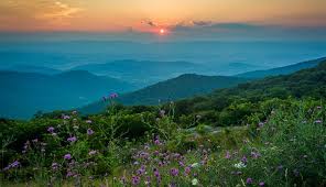 Maybe you would like to learn more about one of these? Things To Know About Visiting Shenandoah National Park