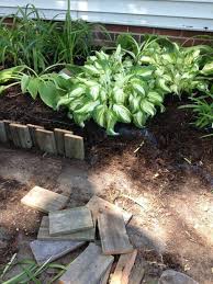 1001 Idees Deco Fantastiques Avec Bordure De Jardin En 2020 Bordure Bois Bordure De Jardin Bordure Jardin Bois