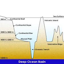C1w18 Typical Ocean Floor