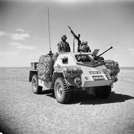 1st Duke of York's Own Skinner's Horse | Military Wiki | Fandom