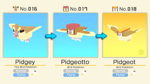 Pokemon Quest Evolution Levels Pidgey Evolution Level