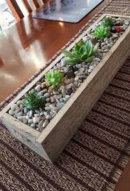 15 Amazing Ideas Adding River Rocks To Your Home Design House Plants Decor Plant Decor Succulents Decor