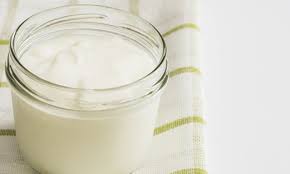 Mayonnaise Enceinte Les Raisons D En Consommer Ou Non