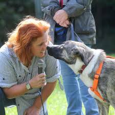 Frau ludwig merkte man ihr mitgefühl, ihre liebe zu den tieren und ihr herz für den tierschutz stets an. Sulzbacher Tierschutzverein Vermittelt Heimatlose Hunde Und Katzen Sulzbach