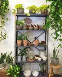 Garden center, home goods store. Our Garden Room House Plants Decor Cinder Block Garden Plants