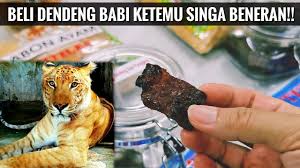Dendeng babi panggang pedas special (lada hitam) titiles 250 gr. Beli Dendeng Babi Malah Ketemu Singa Beneran Youtube