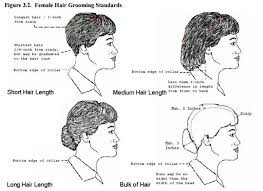 Air Force Hair Regulations For Females Rose Colored Water Womens Hairstyles Cap Hair Air Force