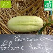 Concombre Blanc Hatif Bio La Bonne Graine Cucumber Condiments Fruit