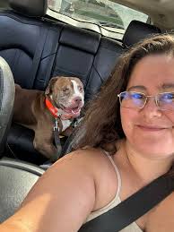 UPDATE: HE IS HOME It happened again only this time my dog Henny (the big  dog) knocked my son down and ran off. Last seen