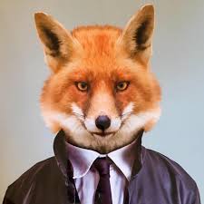 Image result for fox