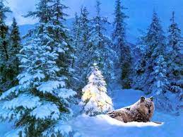 Pin By Kendra Kennedy On Wolves Christmas Desktop Wallpaper Christmas Live Wallpaper Christmas Wallpaper