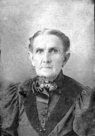 Main Family Tree & Branches