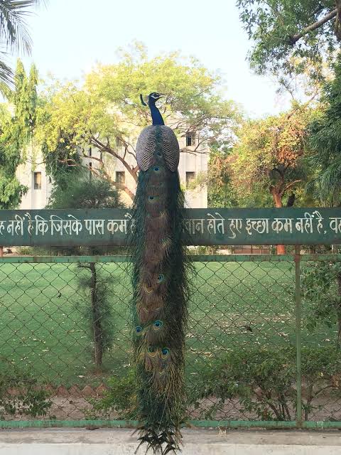 GUJARAT VIDYAPITH - All You SHOULD Know Before Going 2026 (with Photos) - Tripadvisor
