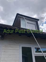 Barking & dagenham london borough council. Adur Pest Control Home Facebook