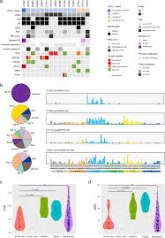 Most importantly, we want you to be happy, healthy and productive while working with us. Evaluation Of The Association Of Heterozygous Germline Variants In Nthl1 With Breast Cancer Predisposition An International Multi Center Study Of 47 180 Subjects Npj Breast Cancer