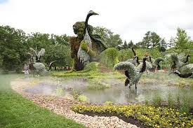 Montreal Botanical Gardens Jardin Botanique De Montreal Swan Mosaic Montreal Botanical Garden Garden Botanical Gardens