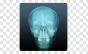 Maybe you would like to learn more about one of these? X Ray Camera Girls Joke Android X Ray Vision Medical Radiography Transparent Png