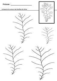 Graphisme En Maternelle Tracer Des Lignes Qui Ondulent Graphisme Creations D Automne Maternelle