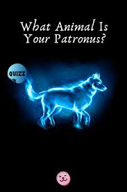 Pawp Quiz Which Animal Is Your Harry Potter Patronus Harry Potter Patronus Quiz What Animal Are You