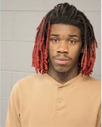 ᐅ Illinois Criminal Records 2009-2026