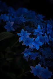 Blue dark darkblue grunge aesthetic png tumblr sadness sad. Untitled Blue Aesthetic Dark Blue Aesthetic Blue Wallpapers