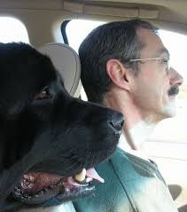 Which pre amp to choose for za3 amps?