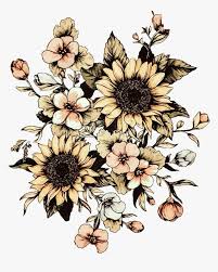 Art unique with border design frame black and white black simple flower bones border png. Transparent Vintage Sunflower Clipart Sunflower Drawing Black And White Hd Png Download Transparent Png Image Pngitem