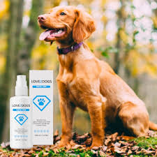 Many have sliding scale fees, where you pay what you can afford, based on your income. Love2dogs Dental Care Healthy Teeth And Gums For Your Dog