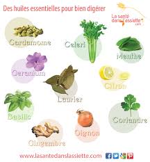 Les Huiles Essentielles Qui Favorisent La Digestion Huile Essentielle Digestion Sante La Sante Dans L Assiette