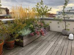Hochbeet Auf Sonniger Dachterrasse Wooden Planter On Sunny Roofgarden Dachterrasse Dachterrasse Pflanzen Terrasse