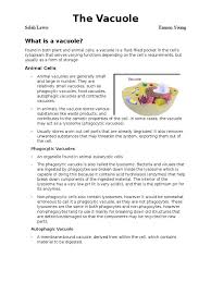 Check spelling or type a new query. The Vacuole Vacuole Lysosome