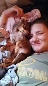 Hey my name is Sugar, I will be a year old