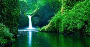 Gambar pemandangan wallpaper gambar pemandangan download wallpaper pemandangan dengan kualitas hd 1080px background pemandangan alam terindah di dunia gambar pemandangan tercantik gratis download the best nature wallpaper in the world wallpaper. Wallpaper Pemandangan Indah Di Dunia Wallpaper Wallpaper Pemandangan Indah Di Duniahttp Pemandanganoce Blogspot Com 2017 09 Wa Pemandangan Ilustrasi Air Alam