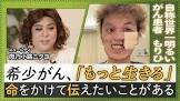 もりひ