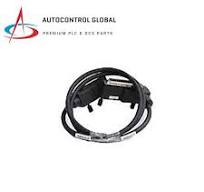 Foxboro P0926KQ Power Supply Output Cable