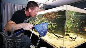 The ultimate diy handbook, for the diy aquarist. The King Of Diy Wikitubia Fandom