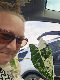 Say hello to Georgina. She's beautiful and I had to share.