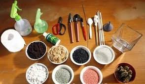 Anda bisa melihatnya sendiri bahwa aquarium mini tidak kalah cantik dengan aquarium sungguhan. Kisah Sukses Raih Untung Berbisnis Tanaman Terarium