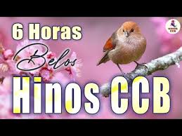 We did not find results for: Video Hinos Ccb