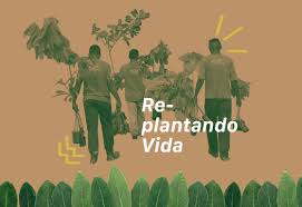Programa Replantando Vida: reflorestamento e ressocialização- O Prelo
