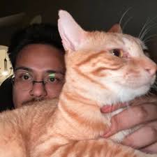 Alyssa Langer (@alyssalanger_)