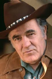 7 Best Robert Vaughan Books (2025)