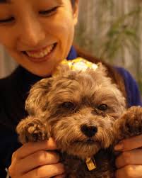 文音/Ayane Nagabuchi