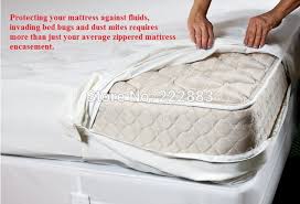 Bed bug and mice infestation (self.bedbugs). Mattress Encasement Mattress Cover Zippered Waterproof Bed Bug Proof Other Bedding Home Garden