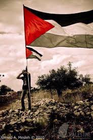 Ny فلسطين ألم وأمل Palestine Art Islamic Pictures Palestine