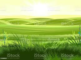 Perbukitan Pedesaan Pemandangan Vektor Rumput Padang Rumput Untuk Sapi Dan  Tempat Untuk Kebun Sayur Dan Peternakan Padang Rumput Dan Pepohonan Horison  Pemandangan Yang Indah Musim Panas Ilustrasi Stok - Unduh Gambar Sekarang -