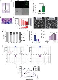 Wollte der sich für seine witzelei revanchieren? Medical Gas Plasma Jet Technology Targets Murine Melanoma In An Immunogenic Fashion Bekeschus 2020 Advanced Science Wiley Online Library